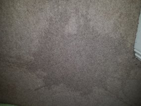 Chip fryer oil spill.jpg