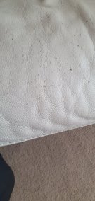 20250319_100406.jpg