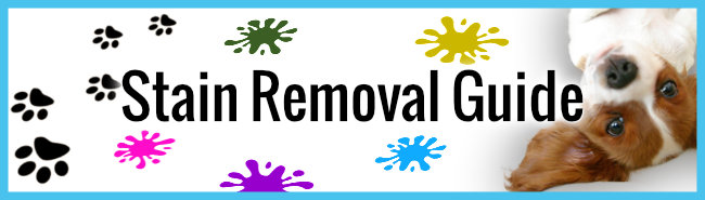 Stain Removal Guide